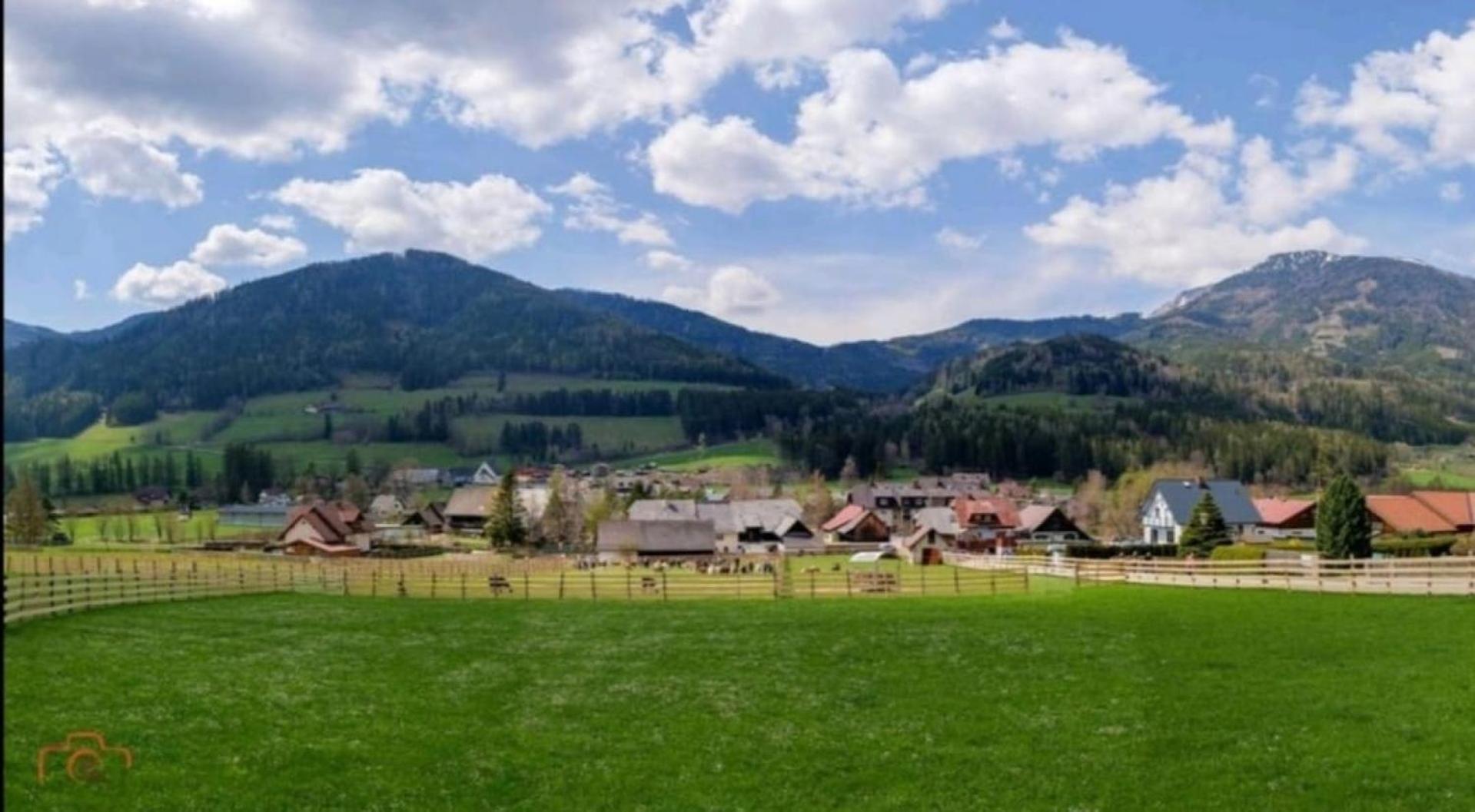 Alpakas, Lamas Und Rentiere Zum Gruenen See Grossdorf  Exteriér fotografie