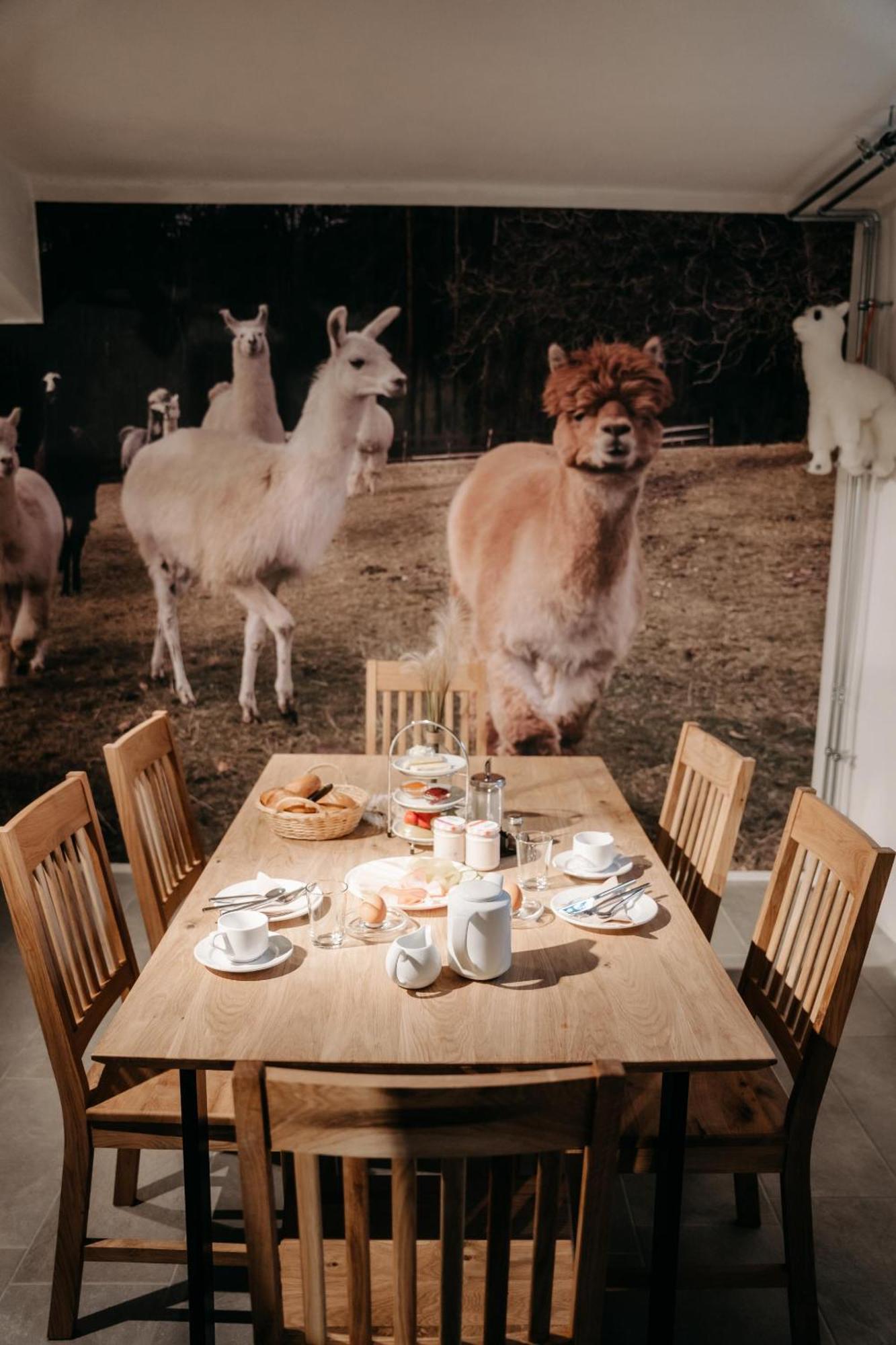 Alpakas, Lamas Und Rentiere Zum Gruenen See Grossdorf  Exteriér fotografie