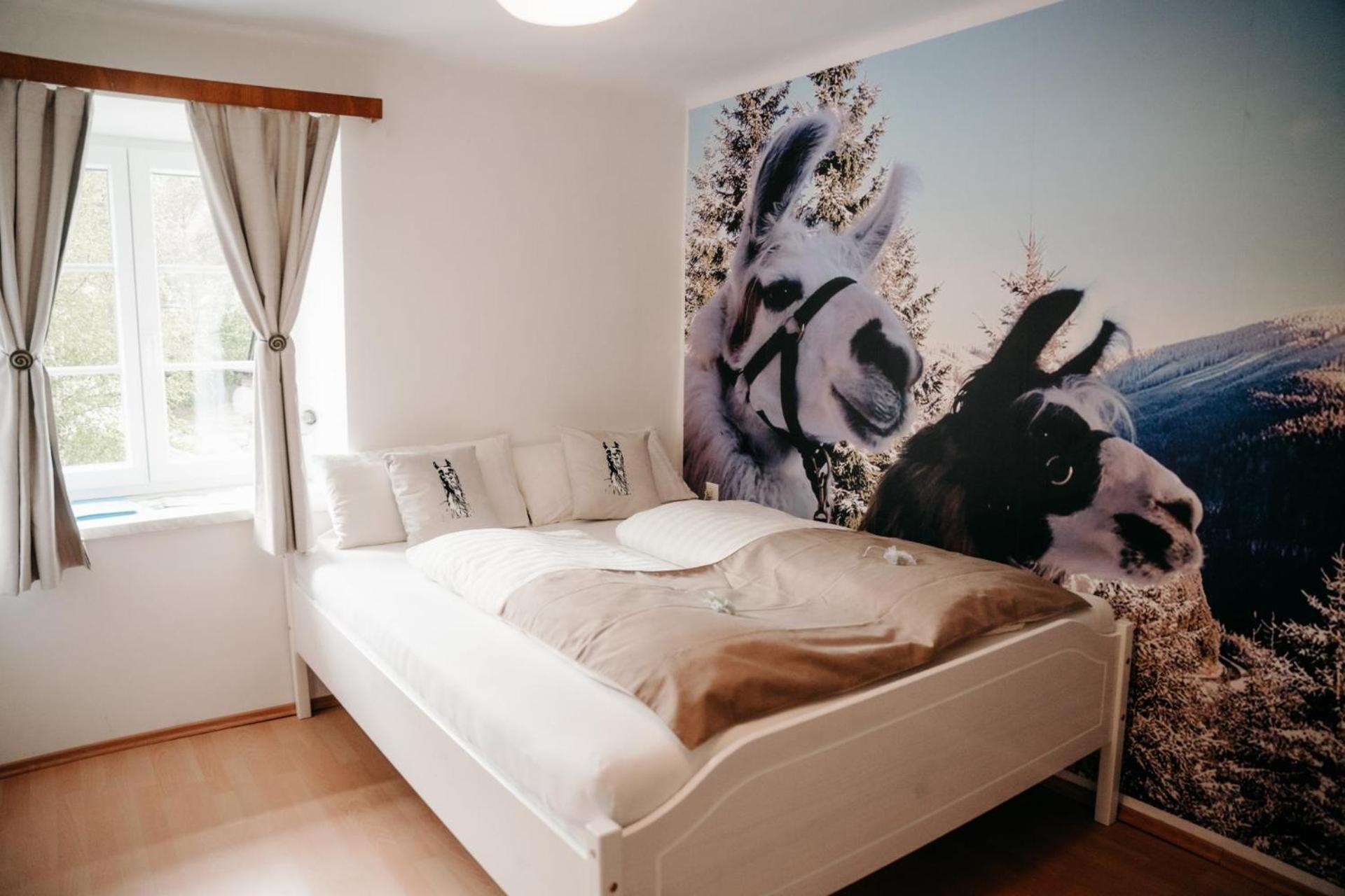Alpakas, Lamas Und Rentiere Zum Gruenen See Grossdorf  Exteriér fotografie