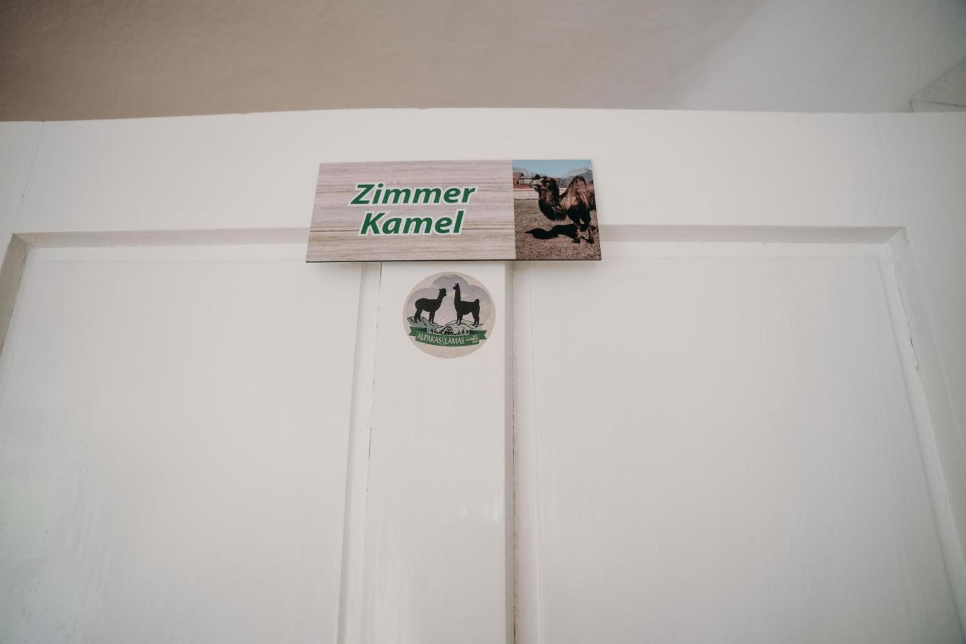 Alpakas, Lamas Und Rentiere Zum Gruenen See Grossdorf  Exteriér fotografie