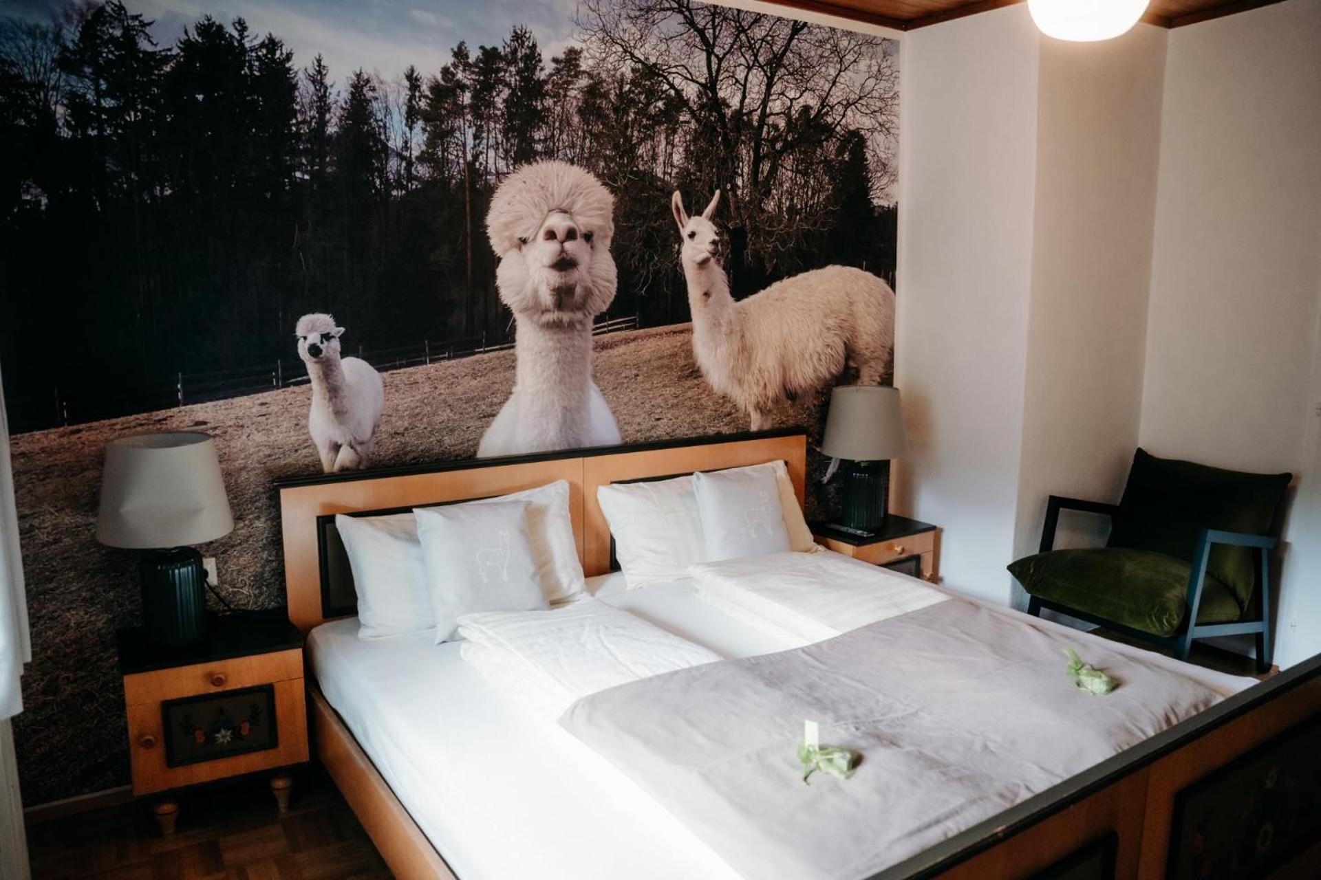 Alpakas, Lamas Und Rentiere Zum Gruenen See Grossdorf  Exteriér fotografie