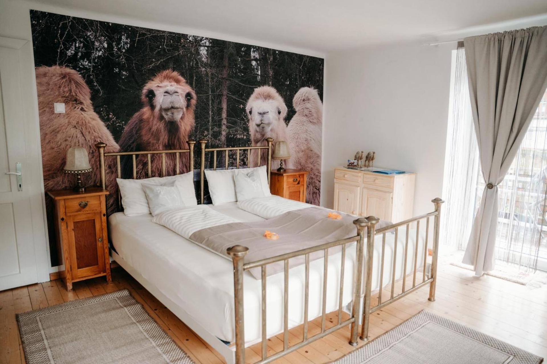 Alpakas, Lamas Und Rentiere Zum Gruenen See Grossdorf  Exteriér fotografie