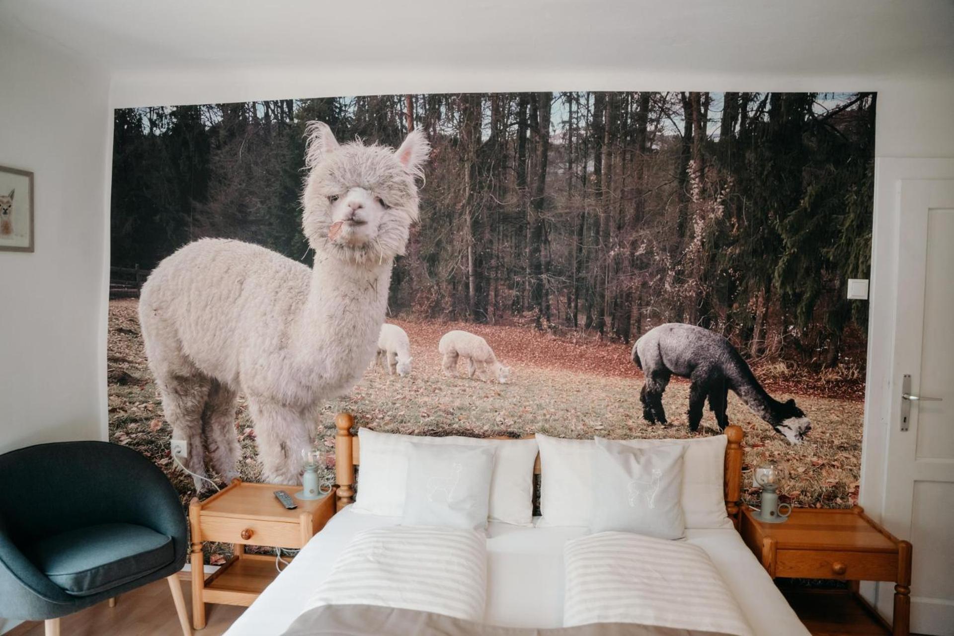Alpakas, Lamas Und Rentiere Zum Gruenen See Grossdorf  Exteriér fotografie