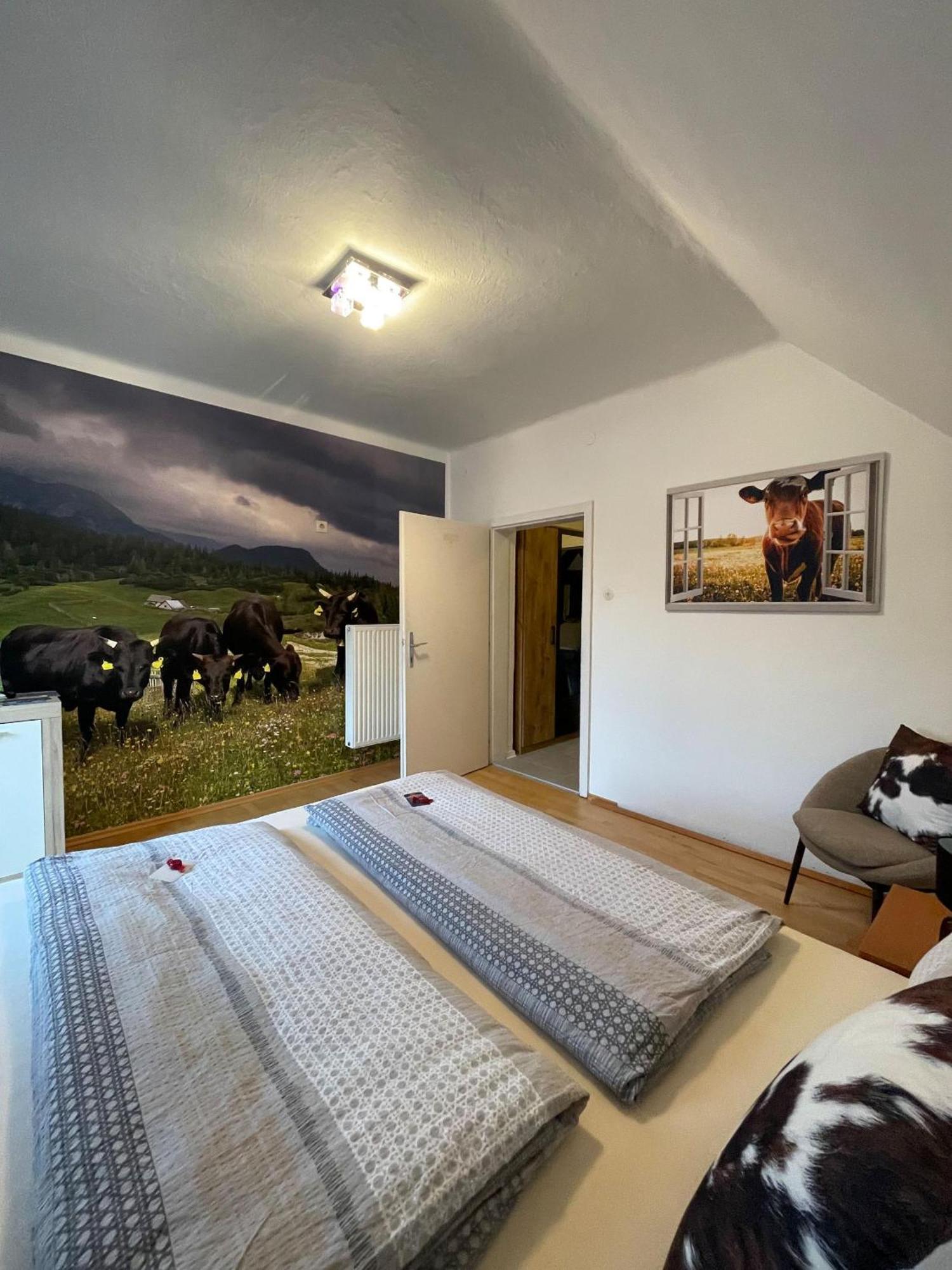 Alpakas, Lamas Und Rentiere Zum Gruenen See Grossdorf  Exteriér fotografie